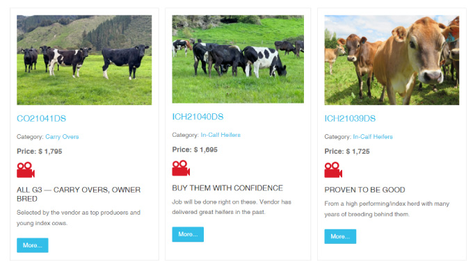 livestock-exchange-listings-with-videos