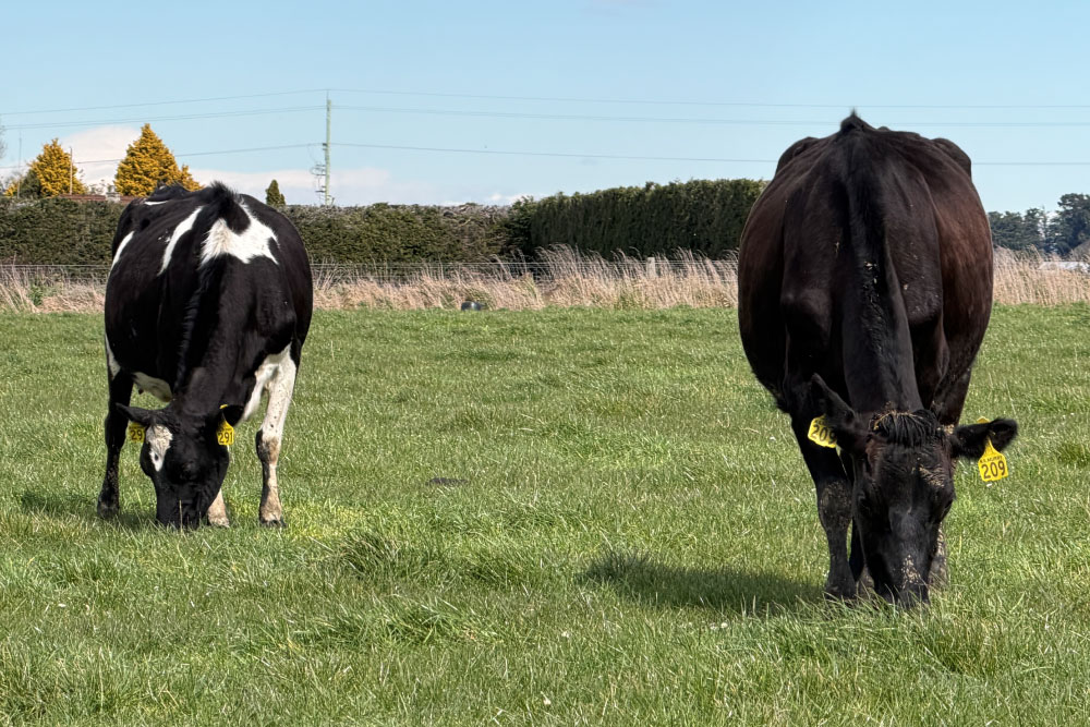 h2019sp-9