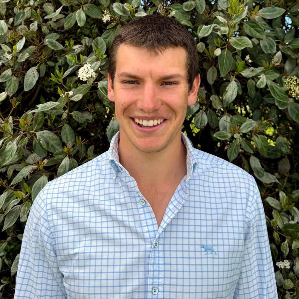 harry-hegan-livestock-exchange-new-zealand